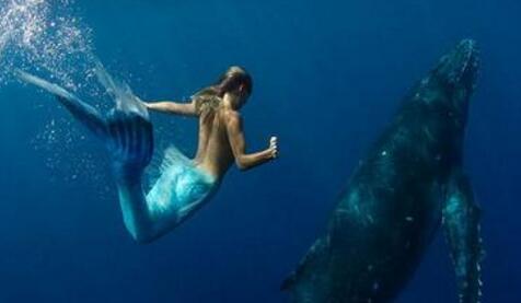 传说中的美人鱼也有男性 古籍记载多有丑陋者